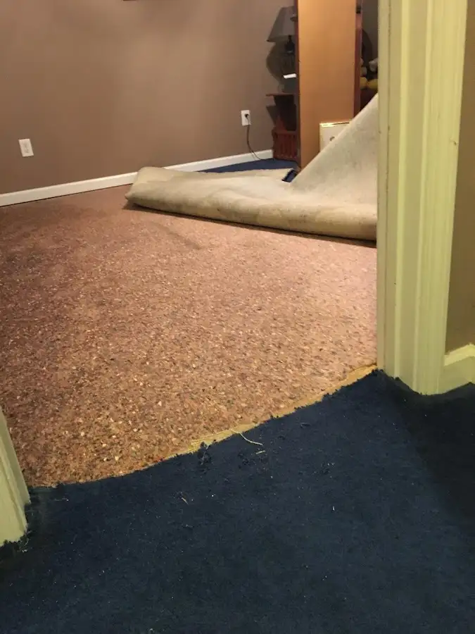 Carpet pad removal revealing water damage during Water Mitigation Services in New Haven