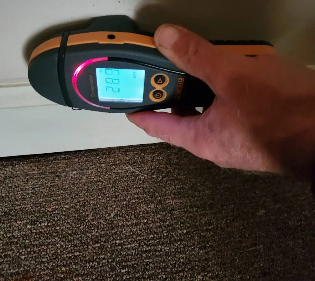 Moisture detection at baseboard during Sewage Cleanup & Sanitation in New Haven